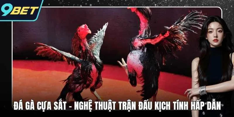 đá gà cựa sắt