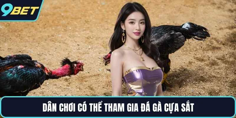 Dân chơi có thể tham gia đá gà cựa sắt