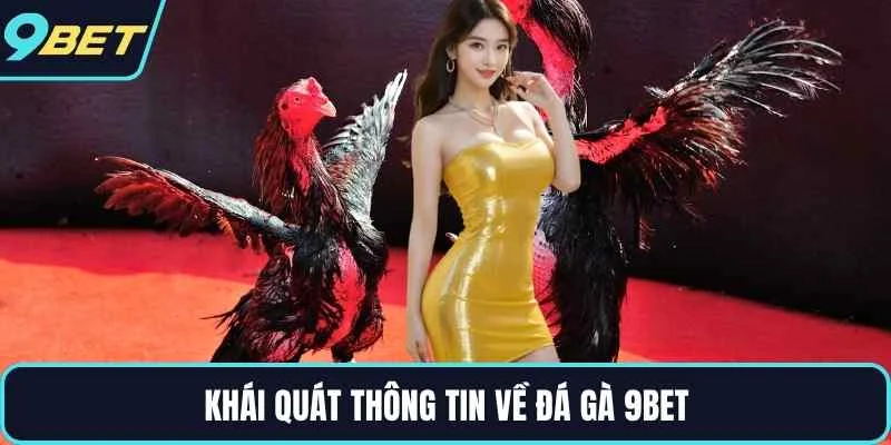 Khái quát thông tin về đá gà 9BET