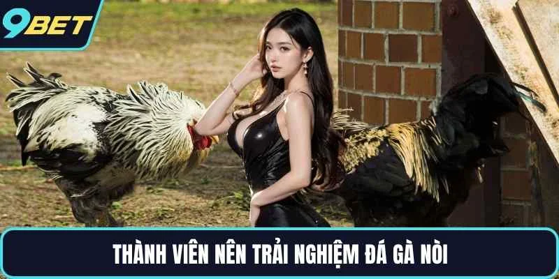 Thành viên nên trải nghiệm đá gà nòi